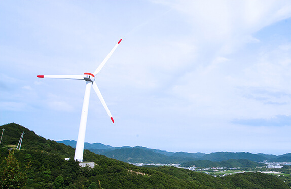 Environmentally-conscious wind power generator installed